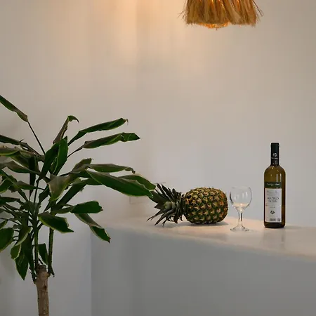 펜션 New Earth Kamári